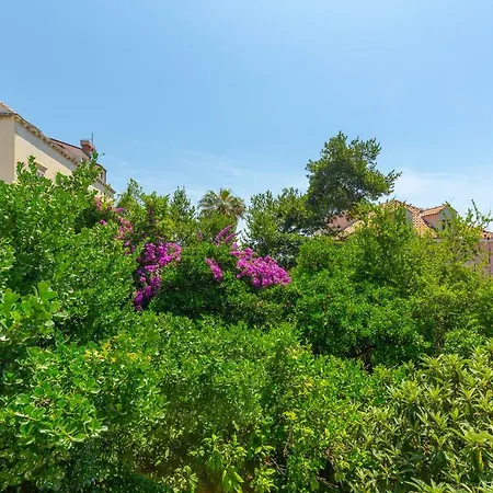 Διαμέρισμα Amy