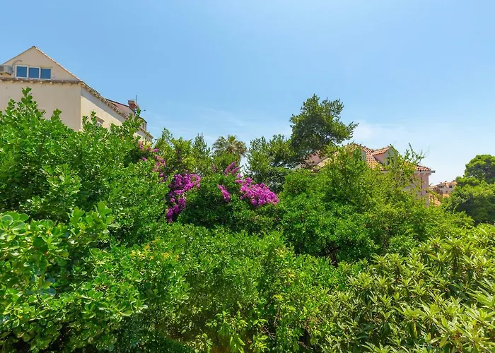 Διαμέρισμα Amy